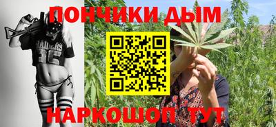 apvp Камышлов