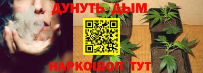 прущий лед Канаш