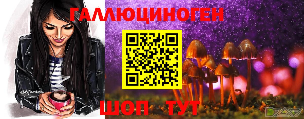 где купить наркоту  Псилоцибиновые грибы мицелий  Вход с VPN  Псилоцибиновые грибы прущие грибы  Лангепас 