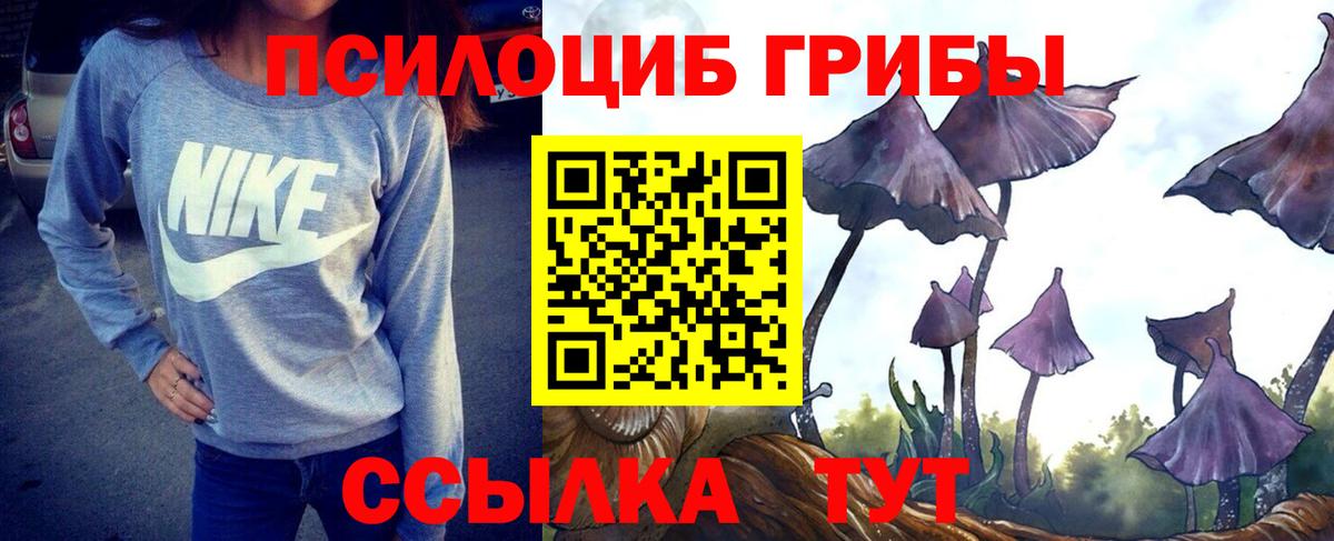 Псилоцибиновые грибы Cubensis Лангепас