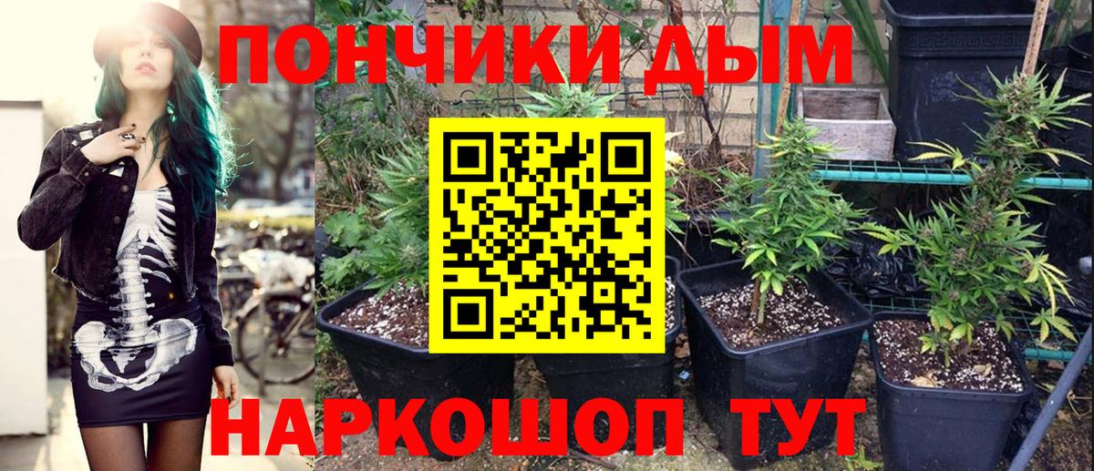 Бошки Шишки сатива Лангепас